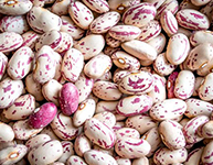 Cranberry Beans