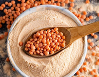 Lentil Flour