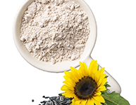 Sunflower Seed Protein