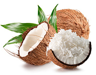 Coconut