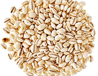 Barley Seeds