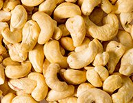 Cashew Nuts