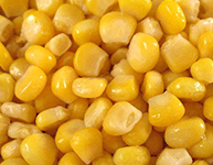 Sweet Corn