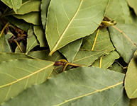 Laurel Leaves