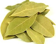 Bay Leaf