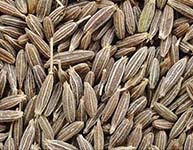 Cumin Seeds