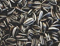 Sunflower Seeds