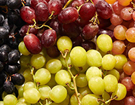 Grapes