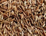 Caraway Seeds