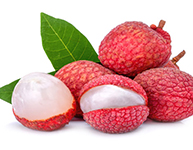 Litchi