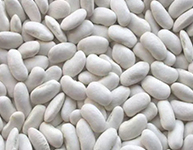 White Beans