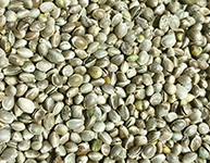 Hemp Seeds