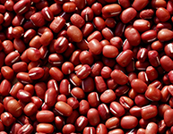 Adzuki Beans