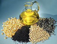 Edible Oil Seeds