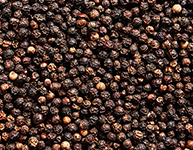 Black Pepper