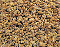 Carom Seeds