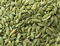 Fennel Seed