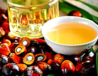 Palm Oil