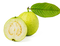 Guava